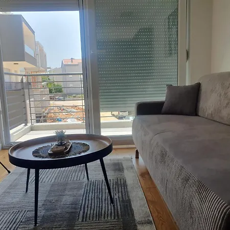 Gold Shine * 扎达尔